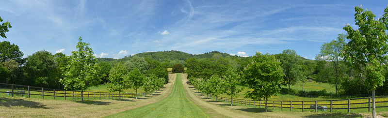 Heart of Surrey Hills and Surrey life