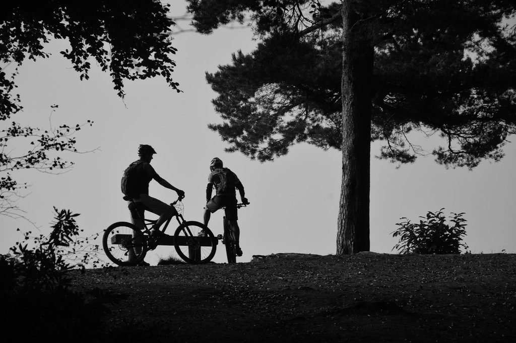 Mountain Biking in Peaslake